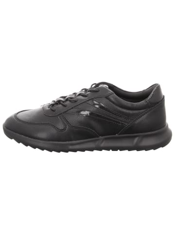 Tamaris Schnürhalbschuh in schwarz