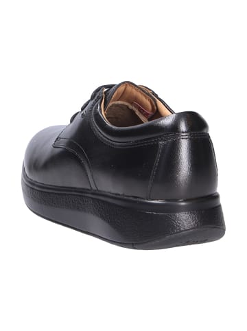 Joya Schnürschuh EMILY BLACK in schwarz