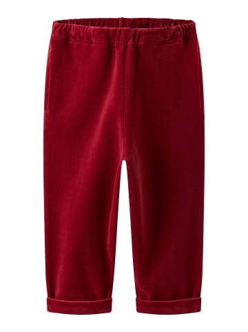 name it Hose in Red Dahlia