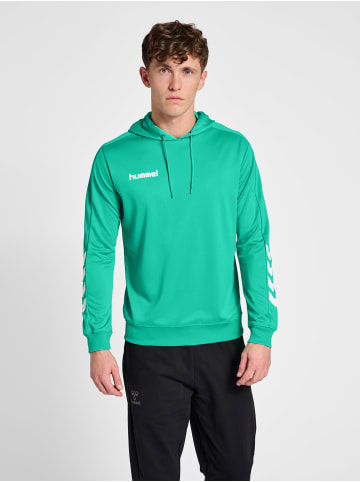 Hummel Kapuzenpullover Hmlpromo Herren in ATLANTIS