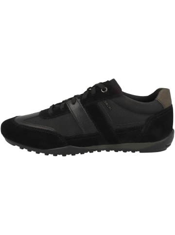 Geox Sneaker low U Wells B in schwarz