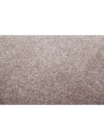 Kayoom Hochflor Teppich Saint in beige - rechteckig