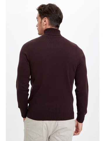 DeFacto Rollkragenpullover in Bordeaux