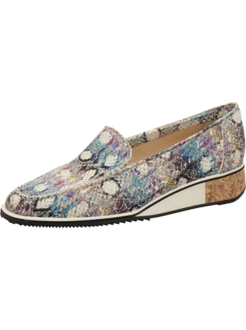 Brunate Pump in bunt