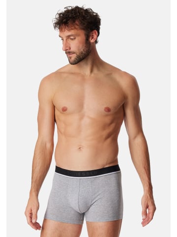 Schiesser Retro Short / Pant 95/5 Organic Cotton in Schwarz / Grau