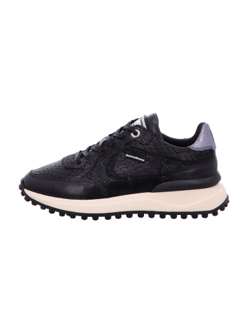 Floris van Bommel Sneaker Low in Schwarz