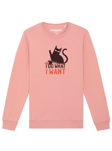 wat? Apparel Sweatshirt Cat in Canyon Pink