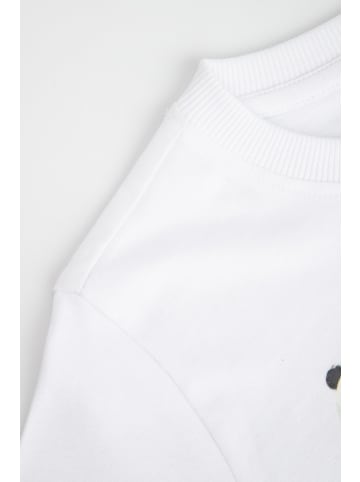 Coccodrillo Baumwoll-T-Shirt mit kurzen Ärmeln in weiß