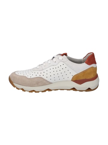 Josef Seibel Sneaker Jonah 02 in beige-multi