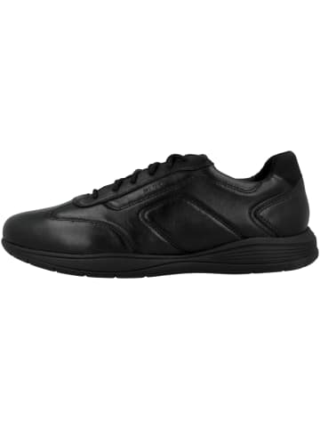 Geox Sneaker low U Spherica EC2 C in schwarz