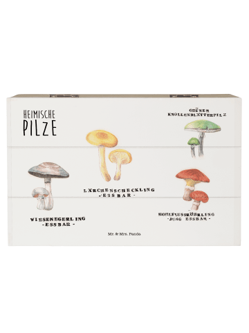 Mr. & Mrs. Panda Geschenkbox Heimische Pilze mit Spruch in Bunt
