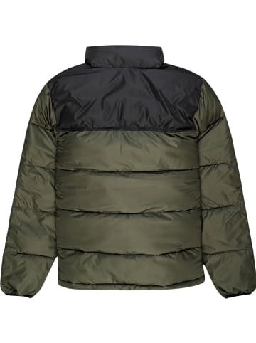 Element M ALDER ARCTIC FUNDAMENTAL JACKET in Tannengrün