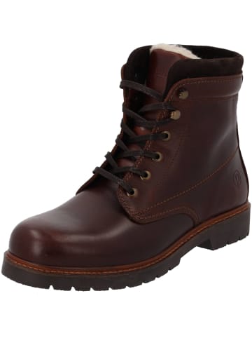 palado Schnürstiefel in mid rown 12842/Castana