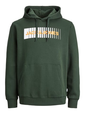 Jack & Jones Kapuzenpullover in grün