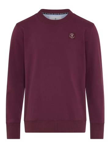 Delmao Sweatshirt in rot
