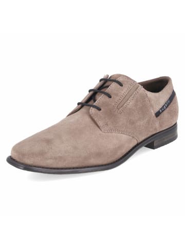 Bugatti Schnürhalbschuh in taupe