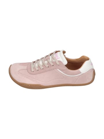 KOEL Sneaker Low VIENNA SUEDE in rosa