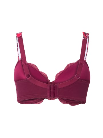 Ulla Popken BH in aubergine