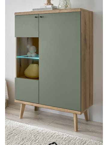 Furn.Design Highboard Salbei, Eiche Evoke, skandinavisch 90 x 134 cm, Kommode 2-türig