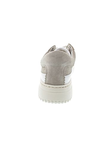 Gabor Comfort Sneaker low Beige