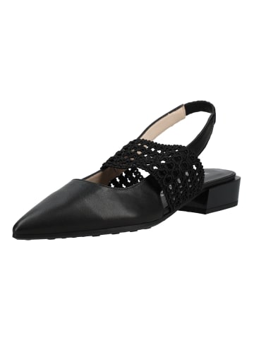 Pumps Schwarz/Schwarz