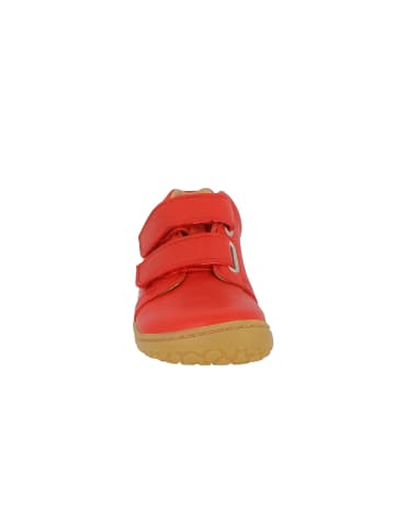 Lurchi Sneaker Noah Barefoot in Rot