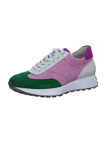 Paul Green Sneaker Low in Rosa