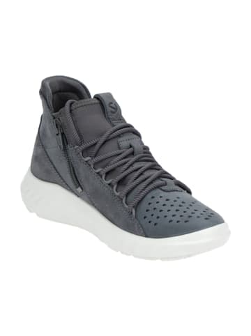 Ecco Sportliche Schnürschuhe in Grau