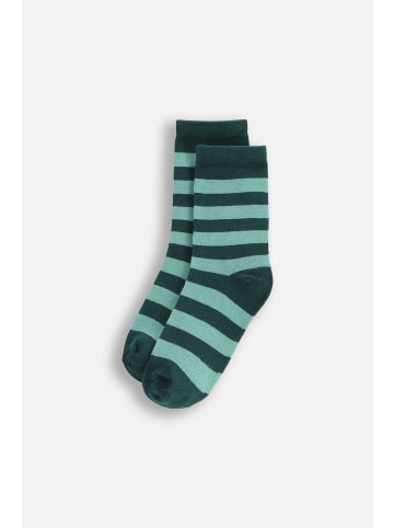 Coccodrillo Socken in bunt