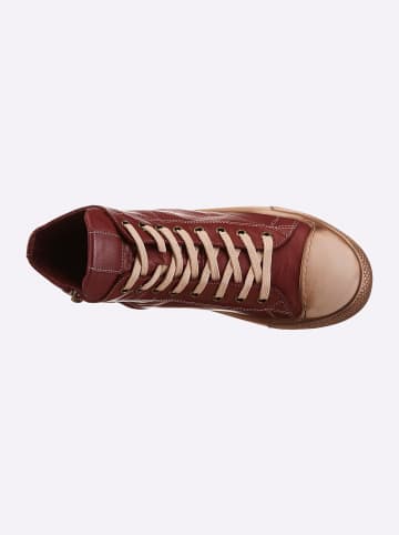 Andrea Conti Sneaker in bordeaux-taupe