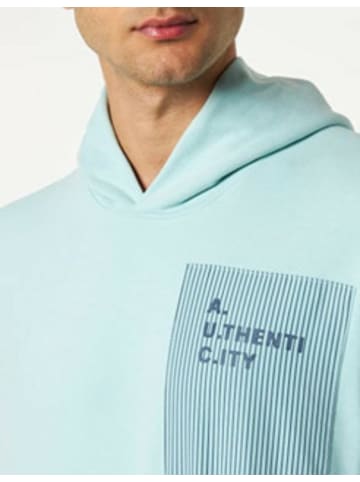 S. Oliver Sweatshirt für Herren in kombi