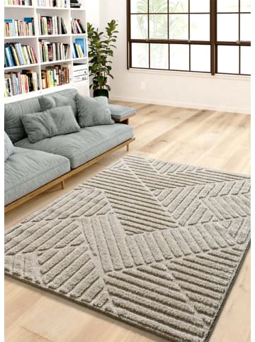 Atticgo Hochflor-Teppich NUMA in beige
