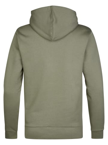Petrol Industries Baumwoll-Hoodie redwood in Grün