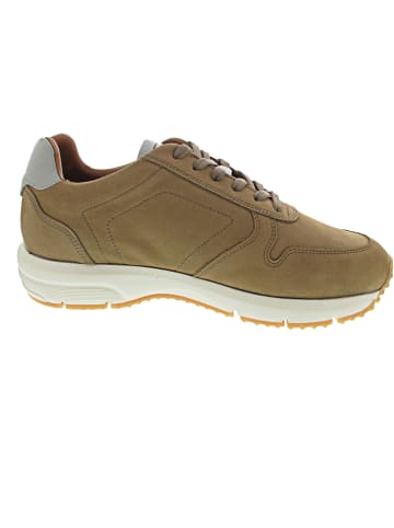 Camel Active Coastville Sneaker low Braun