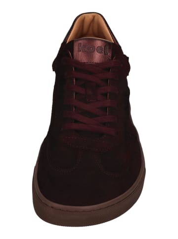 KOEL Sneaker Low HELENA SUEDE  in rot