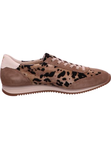 Paul Green Sneaker in beige