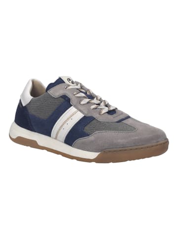 Josef Seibel Sneaker in blau