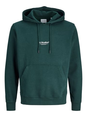 JACK & JONES PLUS Kapuzenpullover in Scarab