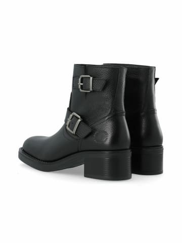 Cashott Stiefeletten CASRIKKE in Black
