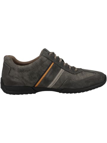 Pius Gabor Sneaker low 1137.10 in dunkelgrau