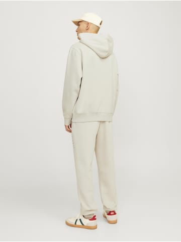 Jack & Jones Kapuzenpullover in Moonbeam