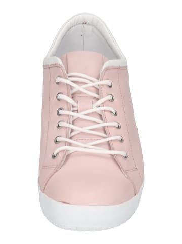Andrea Conti Sneaker Low 0343636-1875 in rosa