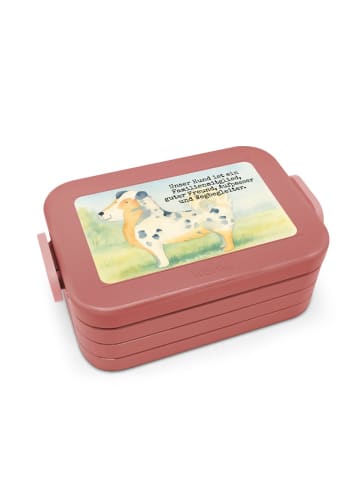 Mr. & Mrs. Panda MEPAL Bentobox Hund Australien Shepherd Design ... in Rot Pastell