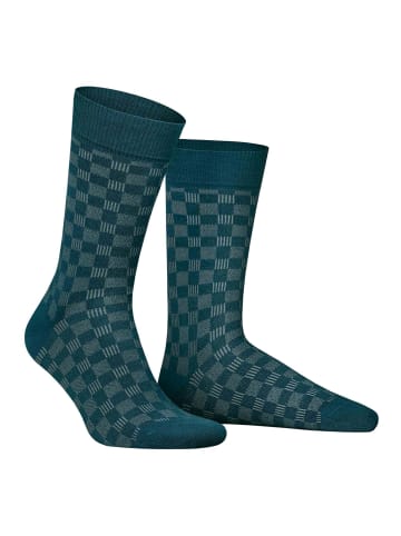 Hudson Socken Board gemustert in capri blue