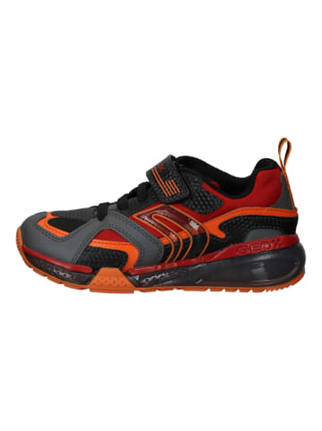 Geox Sneaker in Schwarz/Rot