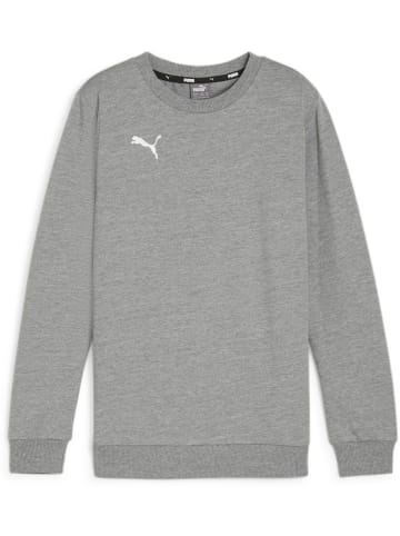 Puma Pullover "TeamGoal CasuaLongsleeve Crew Neck Sweat Jr" in Grau