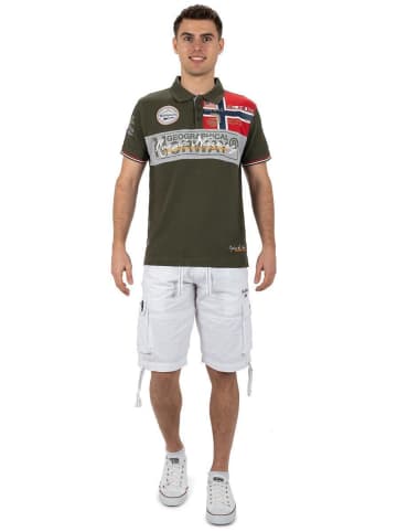 Geographical Norway Herren Regular Fit Kurzarmshirt in Khaki