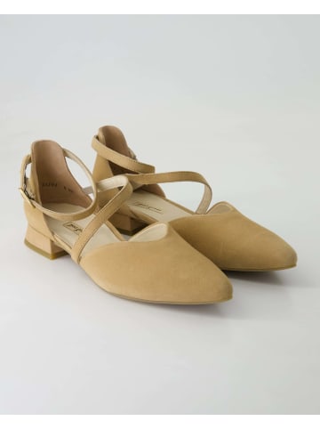 Paul Green Ballerinas in Beige