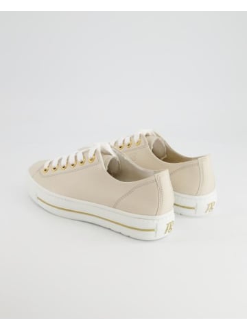 Paul Green Sneaker low in Beige