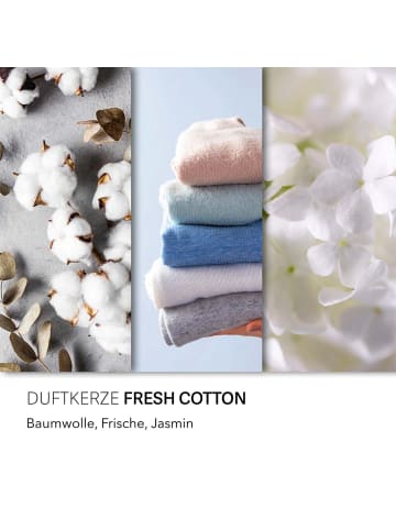 Candle Brothers Duftkerze Candle Brothers "Fresh Cotton"